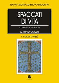 Spaccati di storia. Opere - Flavio Magno Aurelio Cassiodoro - Libro VivereIn 2005, Tradizione e vita | Libraccio.it