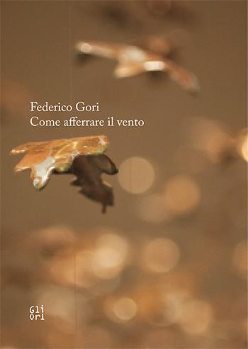 Federico Gori. Come afferrare il vento - Marco Pierini, Niccolò Bonechi - Libro Gli Ori 2015 | Libraccio.it