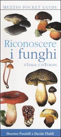 Riconoscere i funghi d'Italia e d'Europa - Massimo Pandolfi, Davide Ubaldi - Libro Franco Muzzio Editore 2004, Muzzio pocket guide | Libraccio.it
