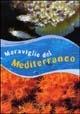 Meraviglie del Mediterraneo - Barbara Zanna, Fabio Barbieri - Libro Gribaudo 2005 | Libraccio.it