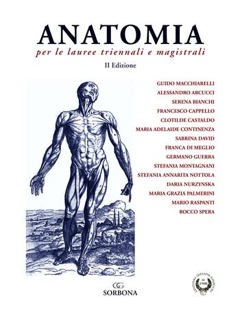 Anatomia per le lauree triennali e magistrali  - Libro Idelson-Gnocchi 2019 | Libraccio.it