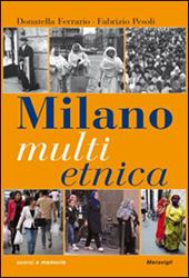 Milano multietnica. Storia e storie della città globale