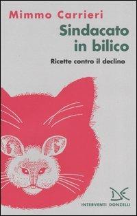 Sindacato in bilico. Ricette contro il declino - Mimmo Carrieri - Libro Donzelli 2004, Interventi | Libraccio.it
