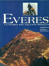 Everest. Ediz. illustrata