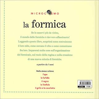 La formica. Ediz. illustrata - Ting Morris, Desiderio Sanzi - Libro Motta Junior 2009, Microcosmo | Libraccio.it