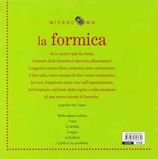 La formica - Ting Morris - Libro Motta Junior 2011, Microcosmo | Libraccio.it
