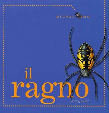 Il ragno - Ting Morris, Desiderio Sanzi - Libro Motta Junior 2013, Microcosmo | Libraccio.it