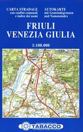 Carta stradale Friuli Venezia Giulia 1:100.000. Con indice dei nomi