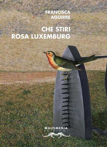 Che stiri Rosa Luxemburg - Francisca Aguirre - Libro Multimedia Edizioni 2021, Mediterranea | Libraccio.it
