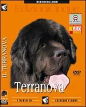 Terranova. DVD