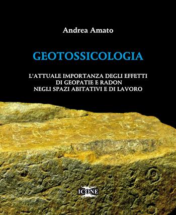 Geotossicologia. L'attuale importanza degli effetti di Geopatie e Radon negli spazi abitativi e di lavoro - Andrea Amato - Libro ICONE 2021 | Libraccio.it