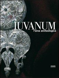 Iuvanum. L'area archeologica - Sandra Lapenna, Luciana Tulipani, Patrizia Staffilani - Libro Synapsi 2006, Biblioteca di archeologia | Libraccio.it