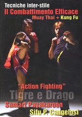 Action Fighting. Tigre e drago