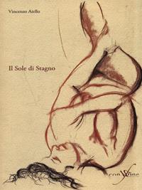 Il sole di stagno - Vincenzo Aiello - Libro con-fine edizioni 2006, Transfert | Libraccio.it