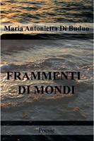   Frammenti di mondi