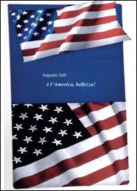 È l'America, bellezza! - Augusto Galli - Libro Youcanprint 2014, Narrativa | Libraccio.it