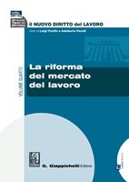   La riforma del mercato del lavoro