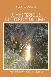 A mysterious butterfly of light
