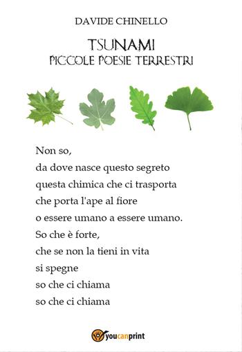 Tsunami, piccole poesie terrestri - Davide Chinello - Libro Youcanprint 2015, Poesia | Libraccio.it