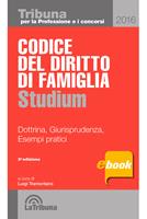 Codice del diritto di famiglia. Dottrina, giurisprudenza, esempi pratici
