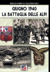 Giugno 1940: la battaglia delle Alpi. Ediz. illustrata