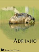   Adriano