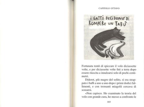 Storia di una gabbianella e del gatto che le insegnò a volare - Luis  Sepúlveda - Libro - Salani - Gl' istrici