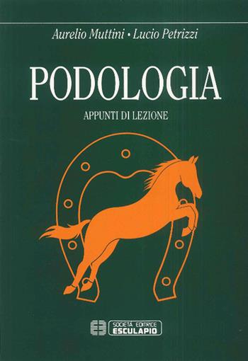 Podologia. Appunti di lezione - Aurelio Muttini, Lucio Petrizzi - Libro Esculapio 1995 | Libraccio.it