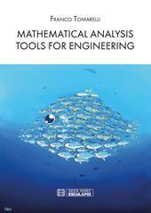 Mathematical analysis tools for engineering