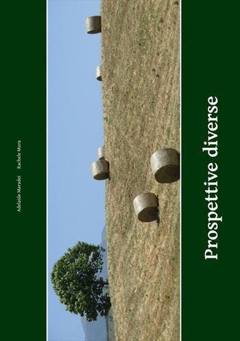 Prospettive diverse - Adelaide Maradei, Rachele Mura - Libro Medise 2015 | Libraccio.it