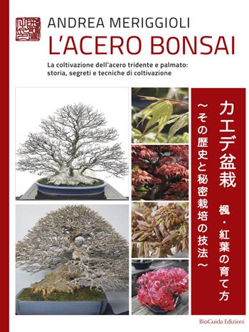 L' acero bonsai. La coltivazione dell'acero tridente e palmato: storia, segreti e tecniche di coltivazione - Andrea Meriggioli - Libro BioGuida 2017 | Libraccio.it