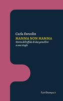 Mamma non mamma. Storia dell'affido di due gemellini a una single
