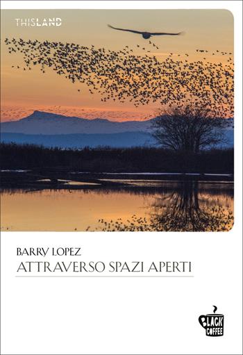 Attraverso spazi aperti - Barry Lopez - Libro Edizioni Black Coffee 2021, This land | Libraccio.it