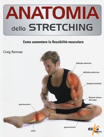 Anatomia dello stretching. Come aumentare la flessibilità muscolare - Craig Ramsay - Libro Elika 2013, Anatomia | Libraccio.it