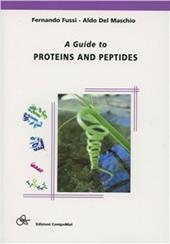 A guide to proteins and peptides