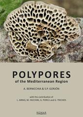 Polypores of the mediterranean region