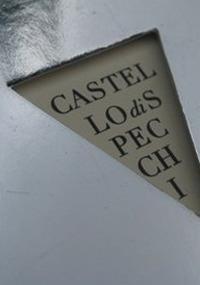 Castello di specchi - Riccardo Miggiano - Libro Lupo 2011, Poesia | Libraccio.it