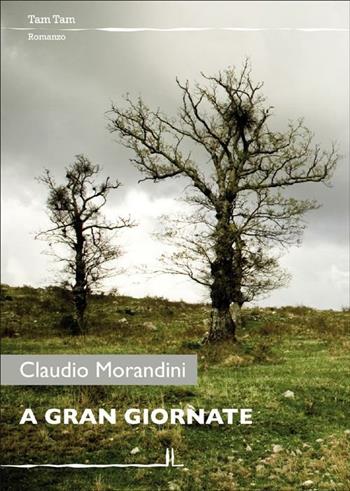 A gran giornate - Claudio Morandini - Libro La Linea (Bologna) 2012, Tam tam | Libraccio.it