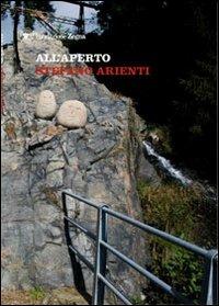 Stefano Arienti. All'aperto. Ediz. multilingue - Barbara Casavecchia - Libro Ermenegildo Zegna 2011 | Libraccio.it