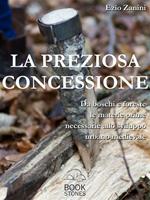   La preziosa concessione. Da boschi e foreste le materie prime necessarie allo sviluppo urbano medievale