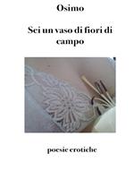 Sei un vaso di fiori di campo