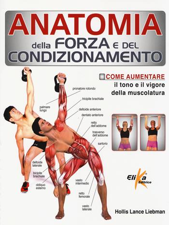 Anatomia della forza e del condizionamento - Lance Liebman Hollis - Libro Elika 2014, Anatomia | Libraccio.it