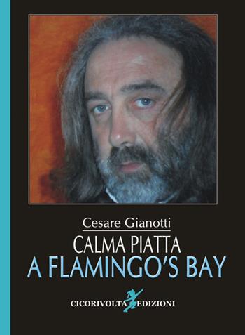 Calma piatta a Flamingo's Bay (La città ritrovata) - Cesare Gianotti - Libro Cicorivolta 2016, I quaderni di Cico | Libraccio.it
