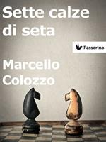   Sette calze di seta