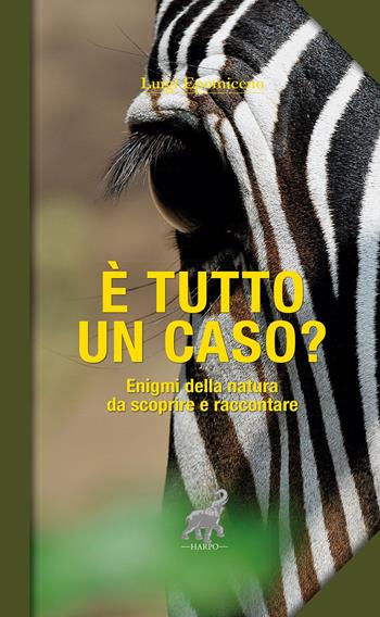 È tutto un caso? Enigmi della natura da scoprire e raccontare - Luigi Epomiceno - Libro Harpo 2023 | Libraccio.it