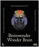   Wonder Brain