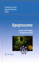  Apoptosome