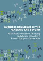   Business Resilience in the Pandemic and Beyond