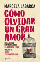   Cómo olvidar un gran amor