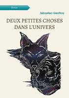   Deux petites choses dans l&rsquo;univers